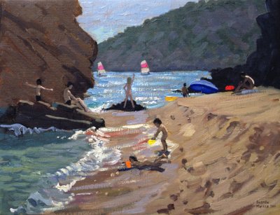 Zomer in Spanje, 2000 door Andrew Macara